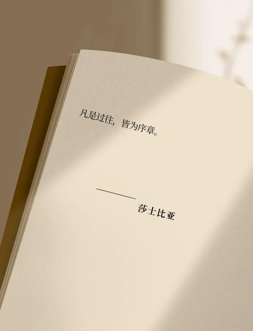 埃尔莫索:喜欢这支罗马的心态,希望今年能成为重要的一年